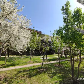 In Baku nan acre land is for sale - Image 3