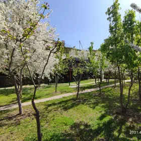 In Baku nan acre land is for sale - Image 5