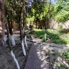 In Baku 220.0 m² house with 3.0 rooms is for rent - Image 3