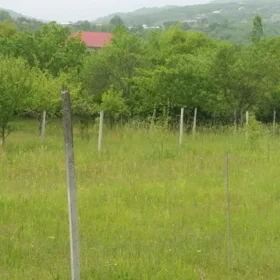 In Ismayilli nan acre land is for sale - Image 2