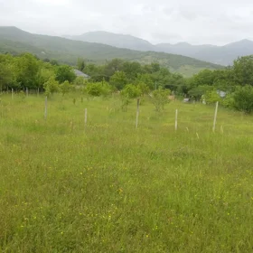 In Ismayilli nan acre land is for sale - Image 3
