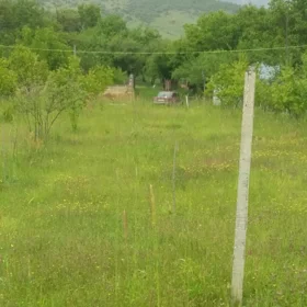 In Ismayilli nan acre land is for sale - Image 5