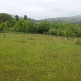 In Ismayilli nan acre land is for sale - Image 6
