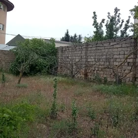 In nan nan acre land is for sale - Image 2