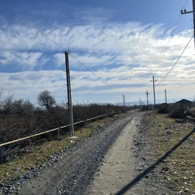 In Gabala nan acre land is for sale - Image 2