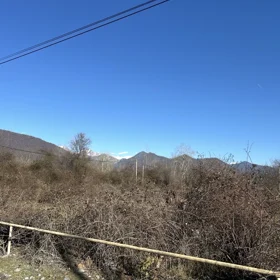 In Gabala nan acre land is for sale - Image 3