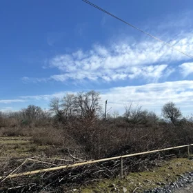 In Gabala nan acre land is for sale - Image 4
