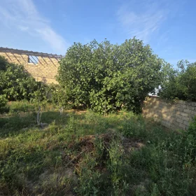 In nan nan acre land is for sale - Image 2