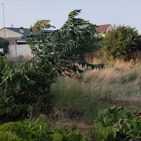 In Xəzər rayonu nan acre land is for sale - Image 6