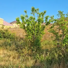 In nan nan acre land is for sale - Image 2