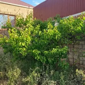 In nan nan acre land is for sale - Image 3