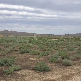 In nan nan acre land is for sale - Image 5