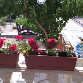 In nan 355.0 m² house with 5.0 rooms is for sale - Image 10