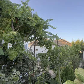 In Xəzər rayonu 120.0 m² house with 4.0 rooms is for sale - Image 9
