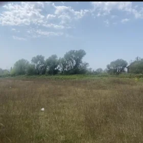 In nan nan acre land is for sale - Image 2