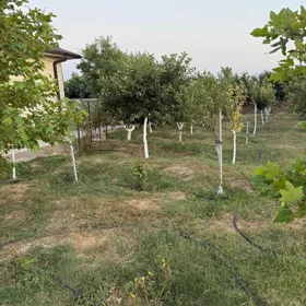 In nan 25.0 m² house with 1.0 rooms is for sale - Image 2