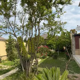 In Xəzər rayonu 250.0 m² house with 5.0 rooms is for sale - Image 2