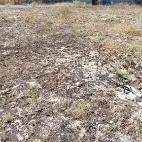 In nan nan acre land is for sale - Image 4