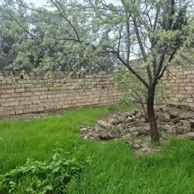 In Sabunçu rayonu nan acre land is for sale - Image 4