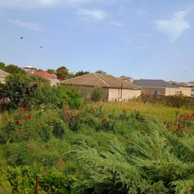 In nan nan acre land is for sale - Image 2