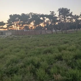 In Sabunçu rayonu nan acre land is for sale - Image 2