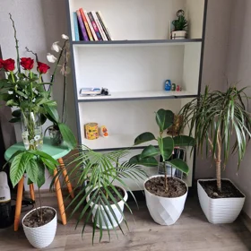 In Baku 30.0 m² apartment is for rent - Image 2