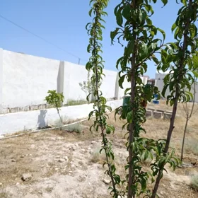 In Xəzər rayonu nan acre land is for sale - Image 2