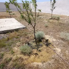 In Xəzər rayonu nan acre land is for sale - Image 3