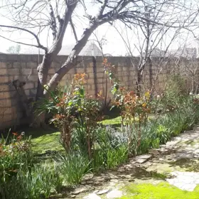 In Khachmaz 70.0 m² house with 2.0 rooms is for sale - Image 5