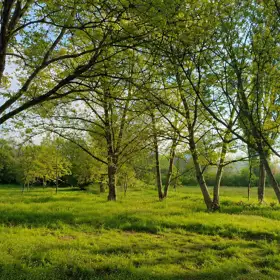 In nan nan acre land is for sale - Image 3