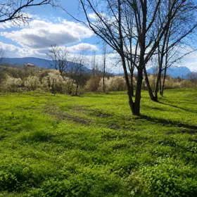 In nan nan acre land is for sale - Image 4