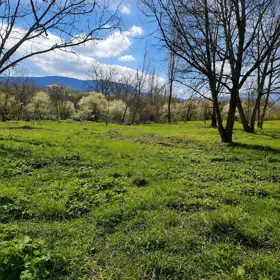 In nan nan acre land is for sale - Image 6
