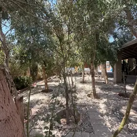In Xəzər rayonu 130.0 m² house with 4.0 rooms is for sale - Image 7