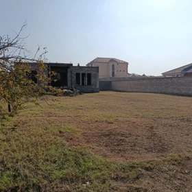 In nan nan acre land is for sale - Image 4