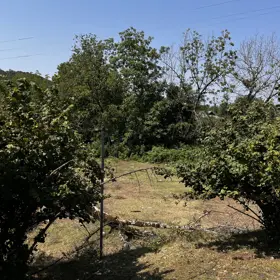 In nan nan acre land is for sale - Image 3