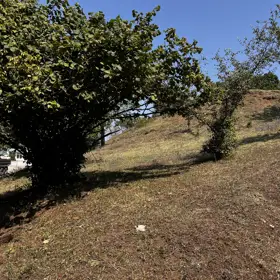 In nan nan acre land is for sale - Image 4
