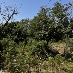 In nan nan acre land is for sale - Image 6
