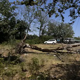 In nan nan acre land is for sale - Image 7
