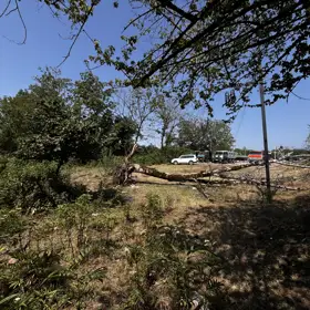 In nan nan acre land is for sale - Image 8