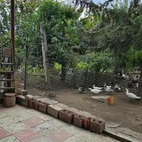 In Jalilabad 30.0 m² house with 5.0 rooms is for sale - Image 8