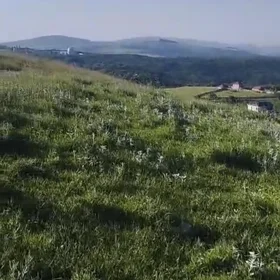 In Shamakhi nan acre land is for sale - Image 7