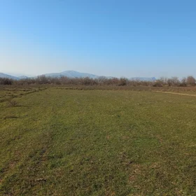 In nan nan acre land is for sale - Image 2