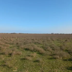In nan nan acre land is for sale - Image 3