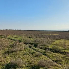 In nan nan acre land is for sale - Image 4