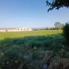 In nan nan acre land is for sale - Image 2
