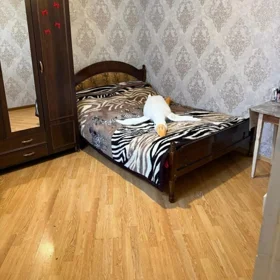 In nan 60.0 m² house with 2.0 rooms is for rent - Image 4