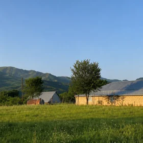 In Ismayilli nan acre land is for sale - Image 2