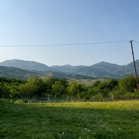 In Ismayilli nan acre land is for sale - Image 3