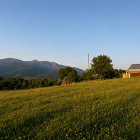 In Ismayilli nan acre land is for sale - Image 4