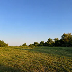 In Ismayilli nan acre land is for sale - Image 5